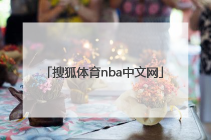 「搜狐体育nba中文网」nba搜狐体育手机搜狐体育