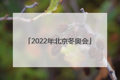 「2022年北京冬奥会」2022年北京冬奥会吉祥物