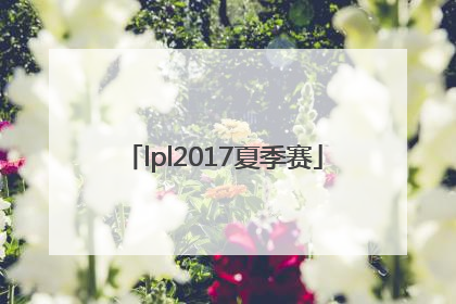 「lpl2017夏季赛」LPL2017夏季赛四强